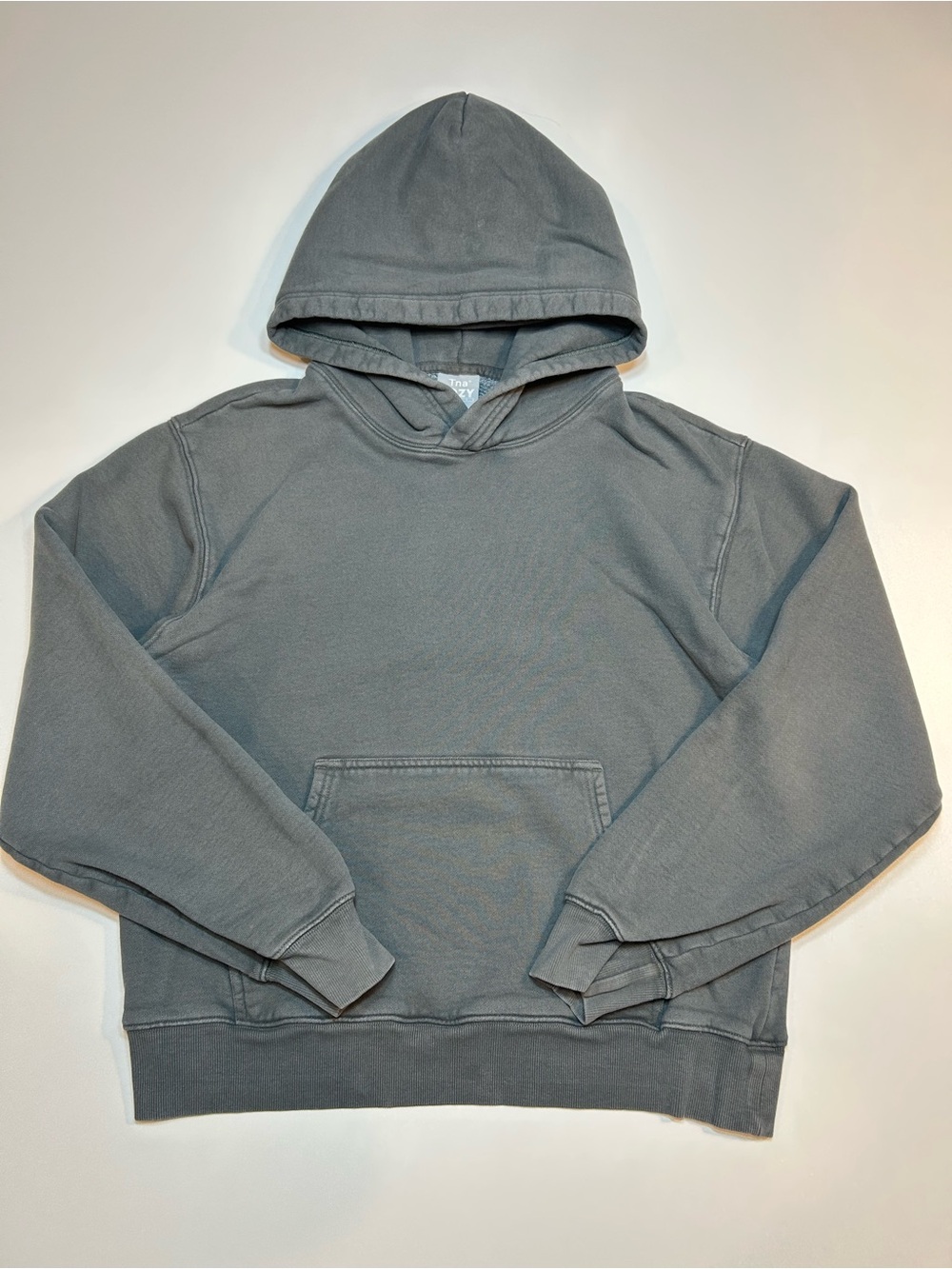 Tna Aritzia Cozy Fleece Boyfriend Hoodie Garment Dye Charcoal Grey Pullover